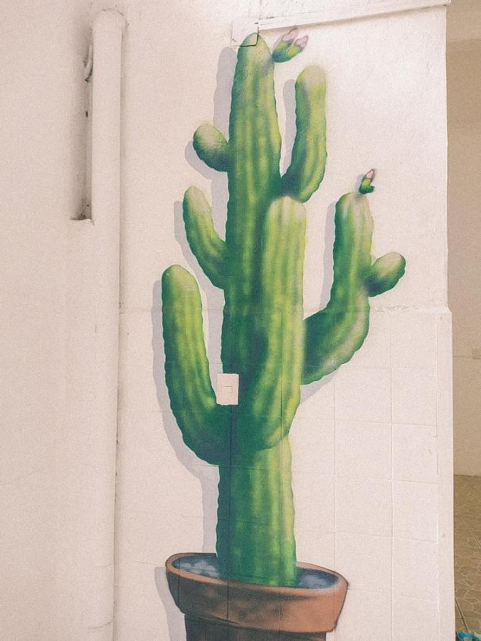 Casa Maguey Hotel Oaxaca