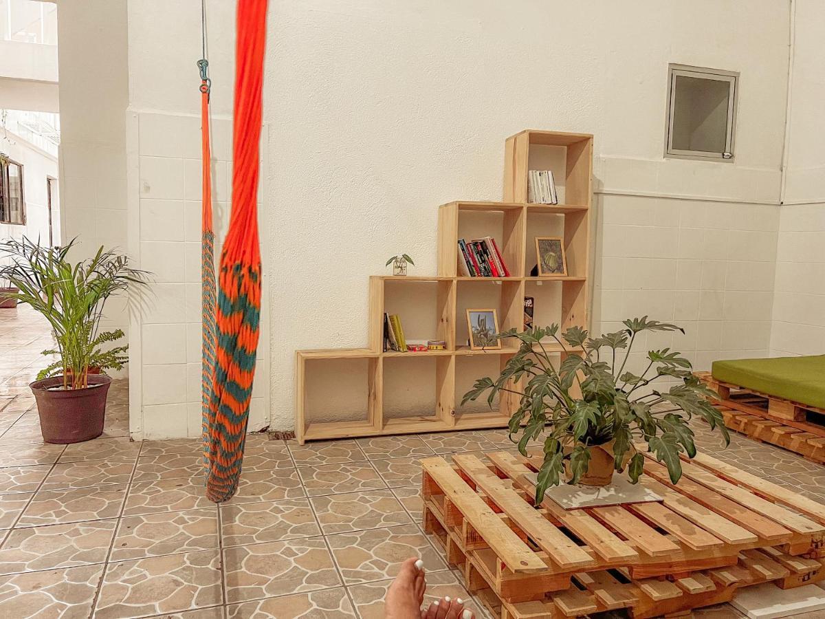 Casa Maguey *