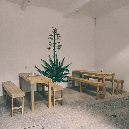 Hostel Casa Maguey Oaxaca Exterior photo