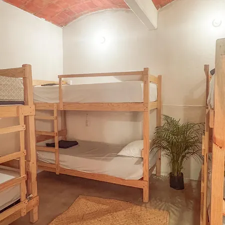 Hostel Casa Maguey Oaxaca Exterior photo