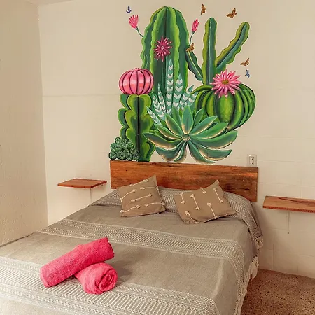 Hostel Casa Maguey Oaxaca Exterior photo