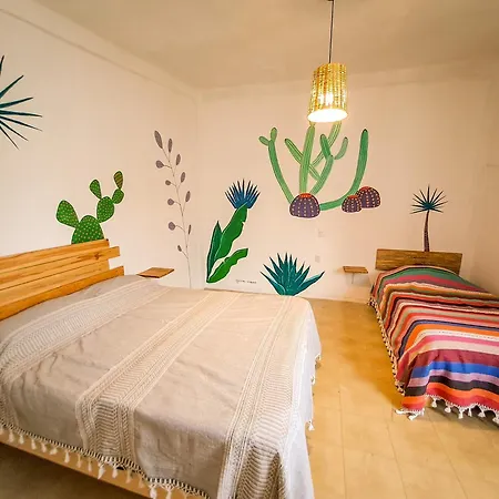 Hostel Casa Maguey Oaxaca Exterior photo